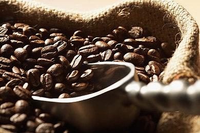 PlayStation Portal日本需求火爆 几乎所有零售店已售罄