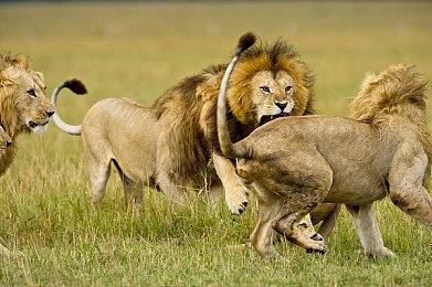 《暗黑破坏神》联合创始人正在开发新的动作RPG游戏