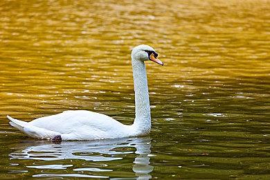 重生希望《Apex英雄》能长久运营20年 就像反恐精英一样