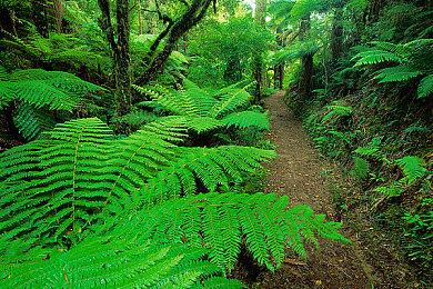 《文明7》 先睹为快：哈特谢普苏特